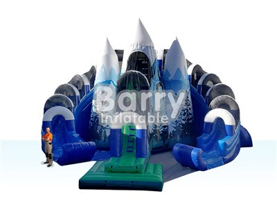 Forest Ice Double Lane Inflatable Water Slide Sale China Factory BY-WS-012